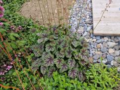 Privatgarten Keller Freiraumplanung GmbH