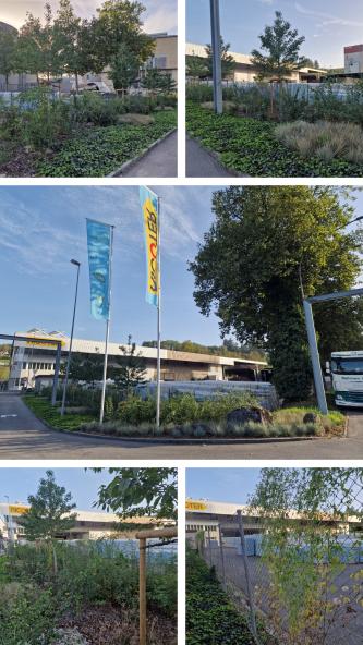 Ricoter Aarberg: Jürg Keller, Keller Freiraumplanung GmbH